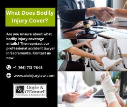 What Does Bodily Injury Cover?