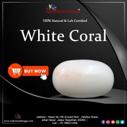 Wholesale White Coral Stone Online From Rashi Ratan Bhagya
