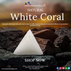 Buy White Coral stone Online from Rashi Ratan Bhagya