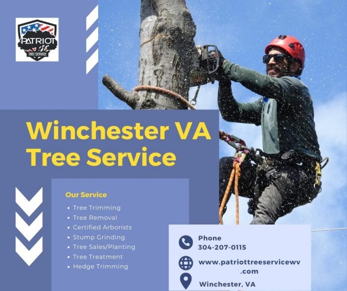 Winchester VA Tree Service