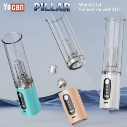 Where can I buy the best electric dab rig?
