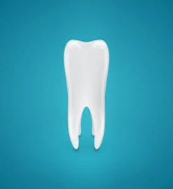 Expert Orthodontists in Miami