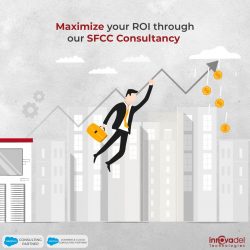 Maximize your ROI through our SFCC Consultancy