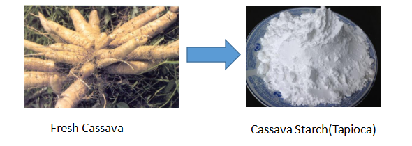 Cassava Starch Machine
