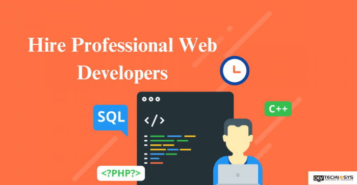Hire Professional Web Developers