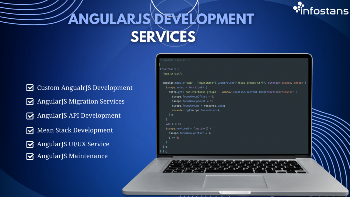 AngularJS Development Services