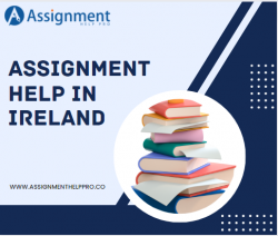 How to Choose A Highly Qualified Assignment Helper In Ireland