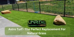 Astro Turf – The Perfect Replacement For Natural Grass