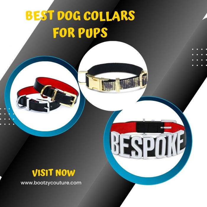 Find the Perfect Collar for Your Pup: A Guide to the Best Dog Collars