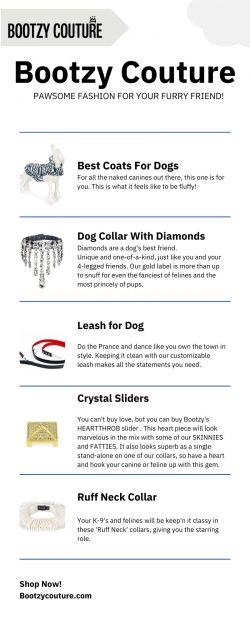 Best Dog Collars Online | Bootzy Couture