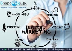 Best Online Courses – Digital Marketing Training in Noida | ShapeMySkills