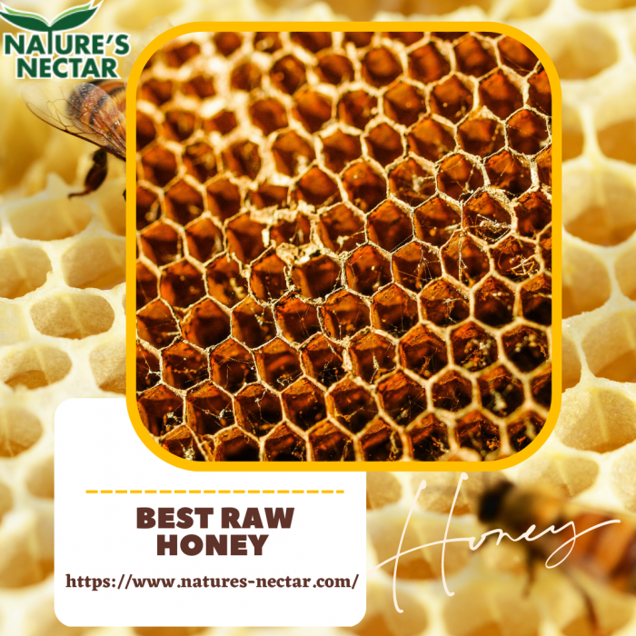 Best Raw Honey | Natures Nectar