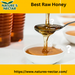 Best Raw Honey | Natures Nectar