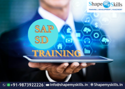 Top Institute SAP SD Training in Delhi