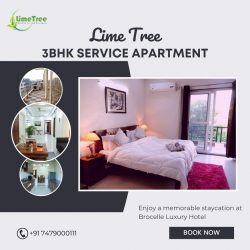 3 BHK Service Apartments in Gurgaon | Lime tree