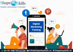 Build Your Skills – Digital Marketing Training in Delhi | ShapeMySkills