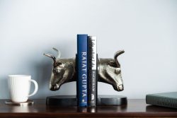 Keep Your Books in Place with Stylish – Buy Book Ends from SG Home