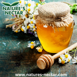 Buy Organic Honey With Vana Tulsi | Natures Nectar