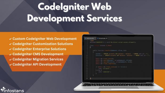CodeIgniter Web Development Services
