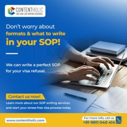 Dont Worry about Formats & What to Write In SOP | Hire Best SOP Writing Services In Delhi