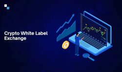How to Establishing Credibility in a White Label Crypto Exchange ?