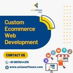 Role of Custom Ecommerce web development in Business