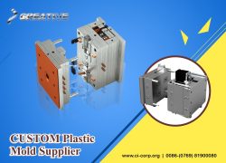 Affordable Rates by this Custom Plastic Mold Supplier china