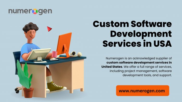 Custom Software Development Services in USA – Numerogen Solutions