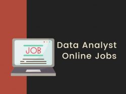 Data Analyst Online Jobs