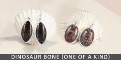 Buy Genuine dinosaur-bone Jewelry at wholesale price from rananjay exports