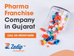 Best PCD Pharma Franchise Company in Ahmadabad – Zedip Formulations