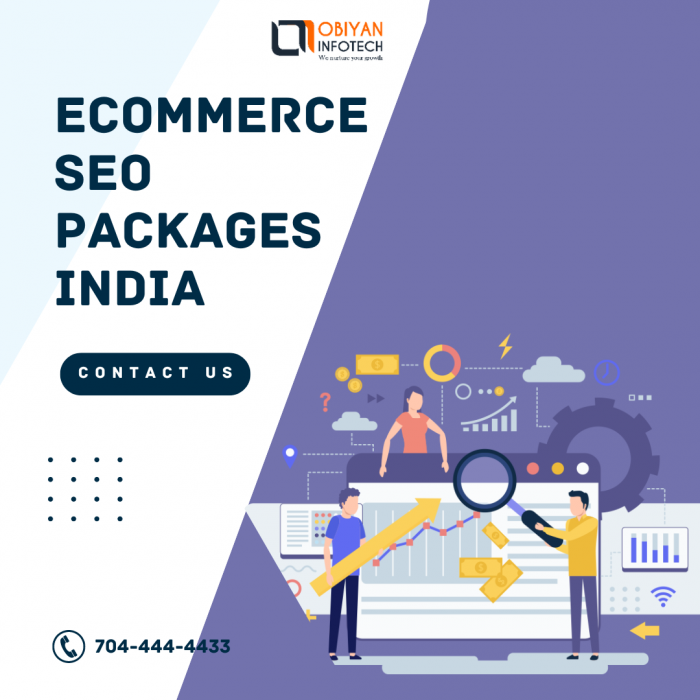 Ecommerce Seo Packages India
