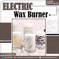 Electric Wax Burner