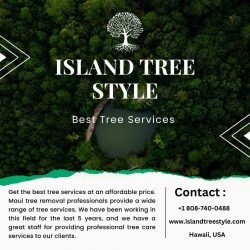 Emergency Tree Removal Services in Hawaii