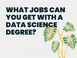 What jobs can you get with a data science degree?