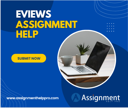 Top-Rated USA-Based Universities Guidance for EViews Assignment!
