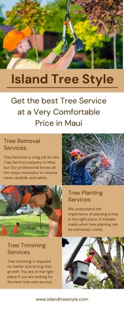 Professional Tree Cutting Contractor in Maui