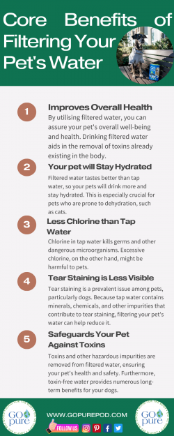 Core Benefits of Filtering Your Pet’s Water : GOpure Pod