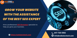 Grow Your Website With the Assistance of the Best SEO Expert