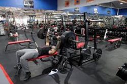 Find The Best Gym In Florida