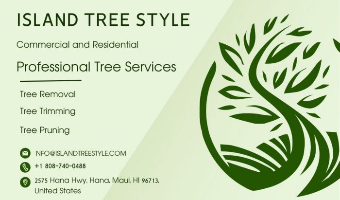 Hire a Reliable and Affordable Tree Services