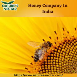 Honey Company In India | Natures Nectar