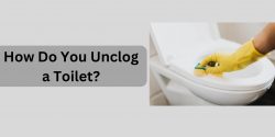 How Do You Unclog a Toilet?