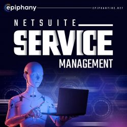 Are you looking for the best netsuite service management?