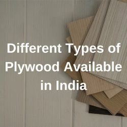 Different Types of Plywood Available in India