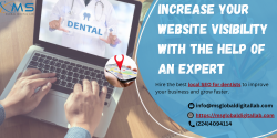 Increase Your Website Visibility With the Help of an Expert