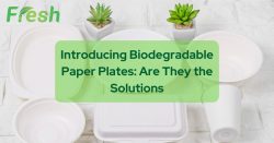 Eco-Friendly, Biodegradable Paper Plates for All Occasions