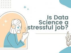 Is Data Science a stressful job?