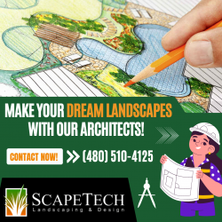 Get Creative Landscape Architects!