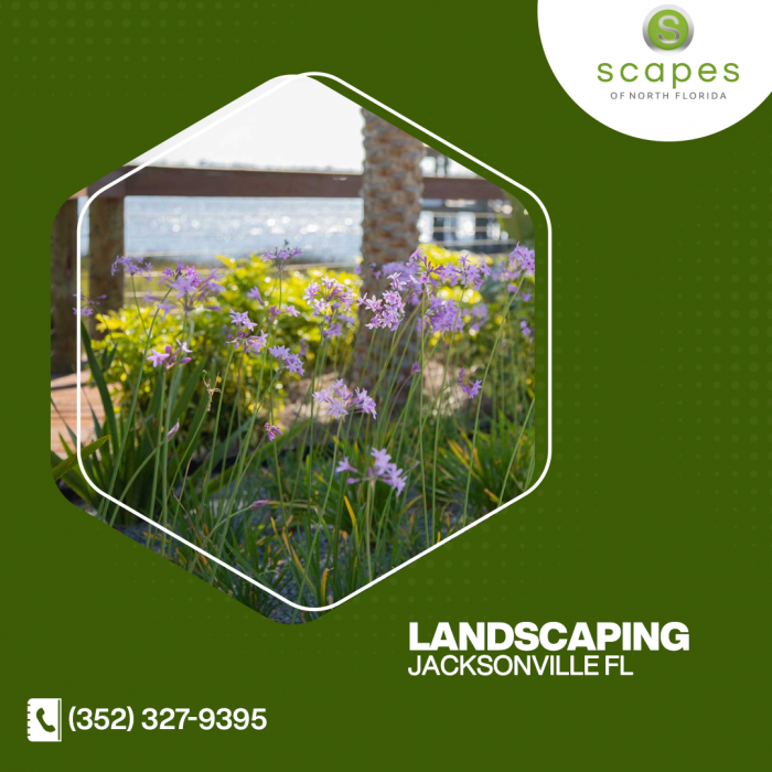 Landscaping Jacksonville FL